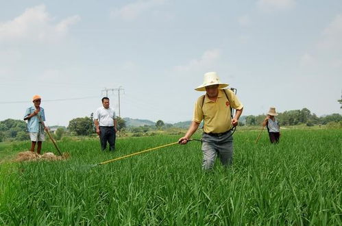 沈阳办公家具